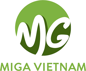 MIGA VIETNAM